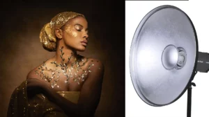 استفاده از بیوتی دیش