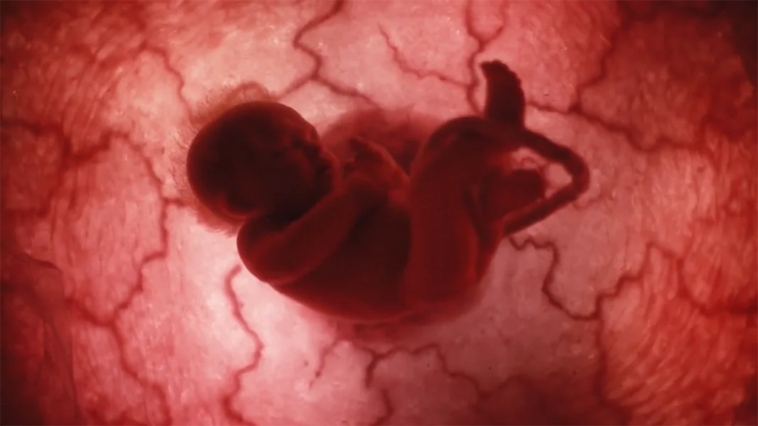 تولد در رنگ قرمز