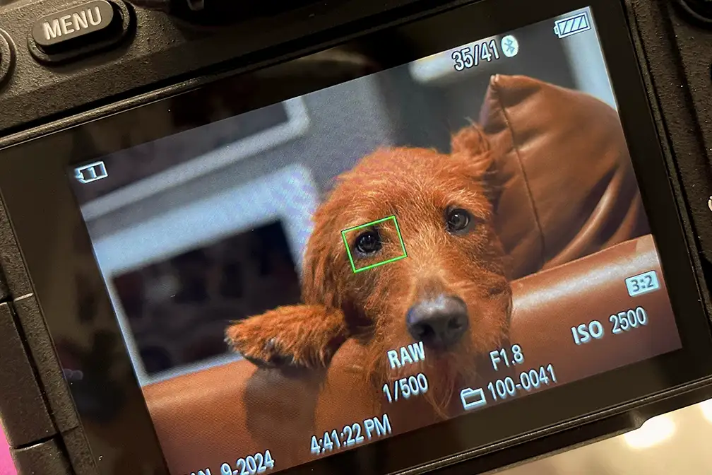 مقایسه اتوفوکوس سونی A7 III و سونی A7 IV