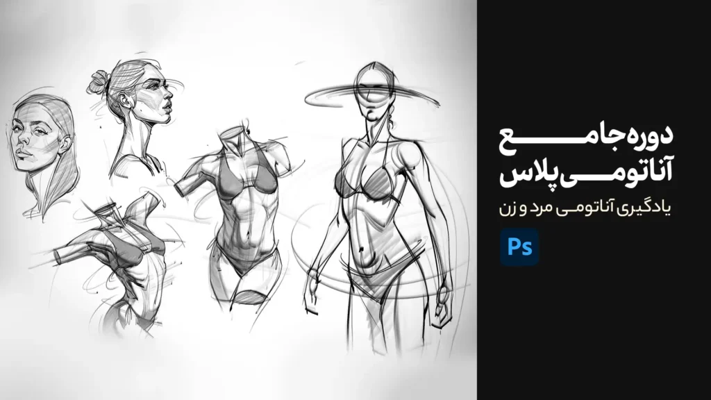 آناتومی پلاس | آموزش آناتومی انسان به صورت جامع